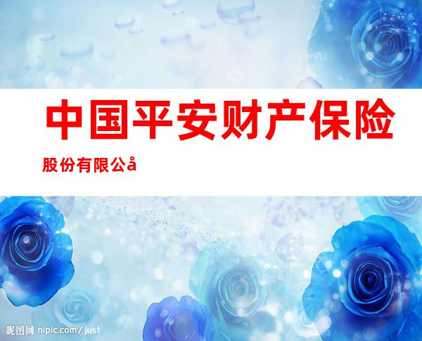 中国平安财产保险股份有限公司兰州新区中心支公司