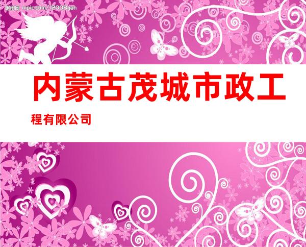 内蒙古茂城市政工程有限公司