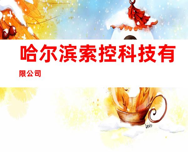 哈尔滨索控科技有限公司