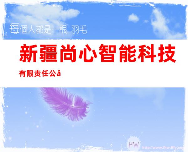 新疆尚心智能科技有限责任公司
