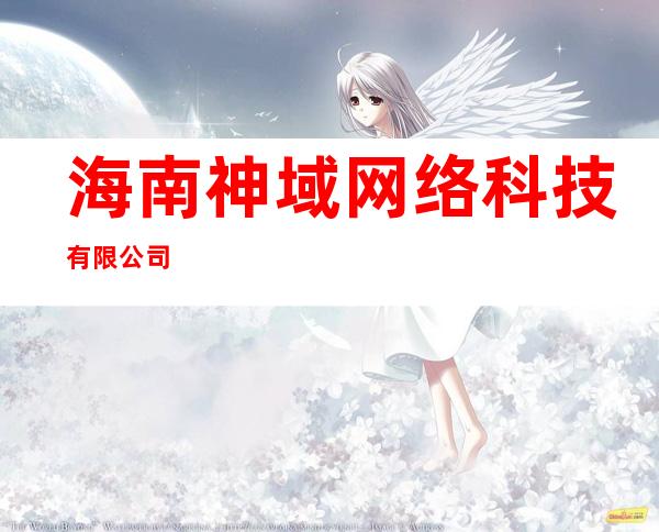 海南神域网络科技有限公司