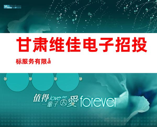 甘肃维佳电子招投标服务有限公司