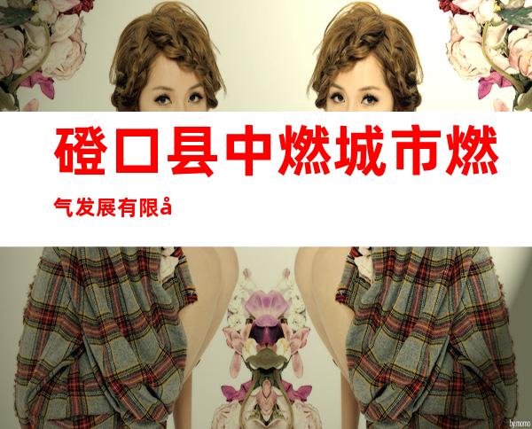 磴口县中燃城市燃气发展有限公司