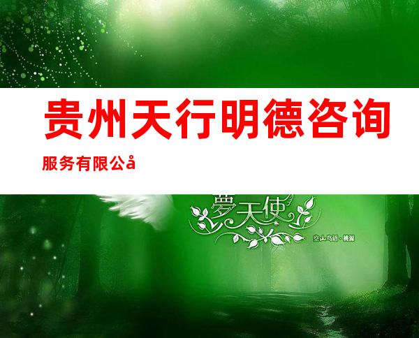 贵州天行明德咨询服务有限公司